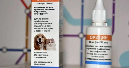Лечение отита у кошек