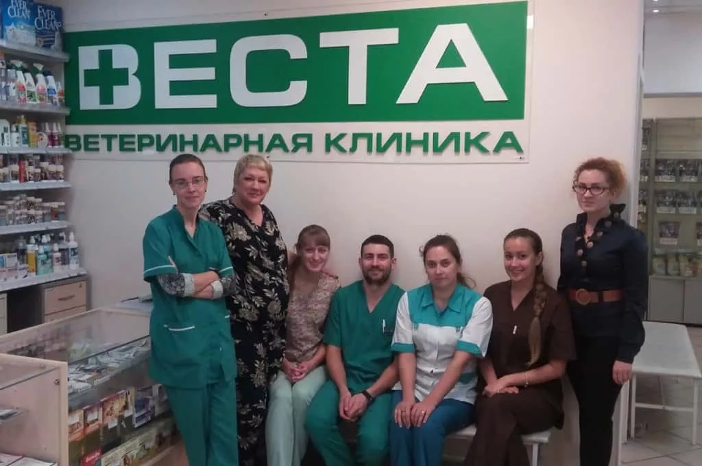 Семинар для ветеринарной клиники “Веста”