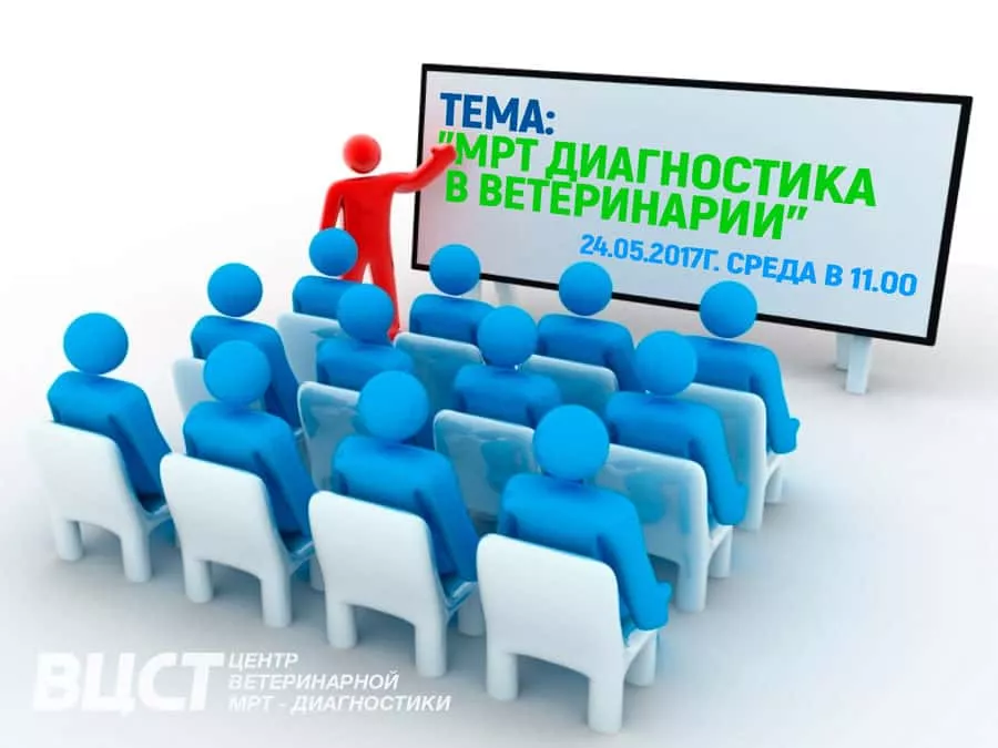 Семинар в центре МРТ-диагностики ВЦСТ