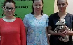Семинар в ветеринарном центре “Монморанси”