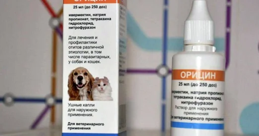 ЛОР-услуги для животных в Москве